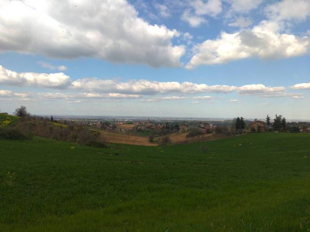 Terreno in vendita a Unione di comuni Terre di Castelli, Castelvetro Di Modena