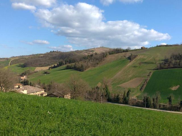 Terreno in vendita a Unione di comuni Terre di Castelli, Castelvetro Di Modena