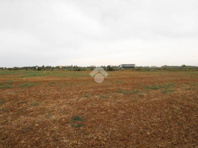 Terreno in vendita a Solignano Nuovo, Castelvetro di Modena