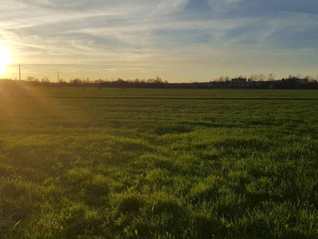 Terreno in vendita a Unione di comuni Terre di Castelli, Castelvetro Di Modena
