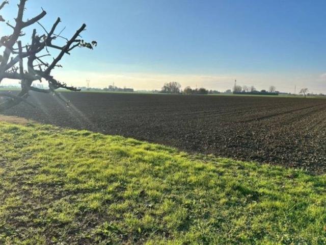 Terreno in vendita a Castenaso, Reggio Emilia
