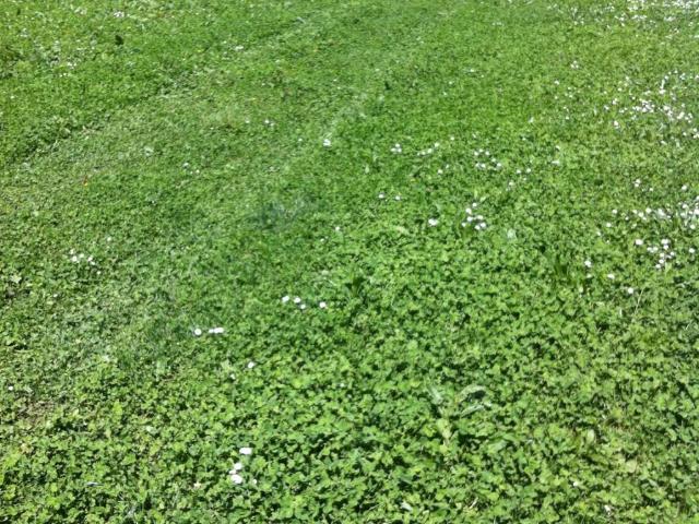 Terreno in vendita a Castenedolo, Lombardia