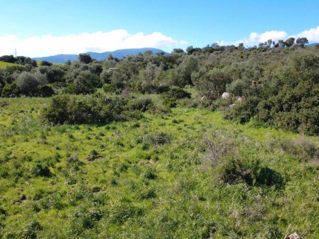 Terreno in vendita a Muravera, Sardigna/Sardegna