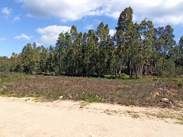 Terreno in vendita a Castiadas, Sardigna/Sardegna