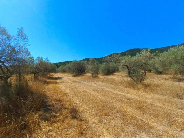 Terreno in vendita a Castiadas, Sardigna/Sardegna