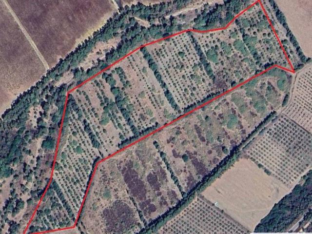 Terreno in vendita a Castiadas, Sardigna/Sardegna