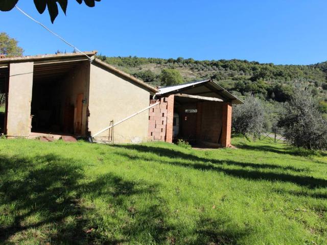 Terreno in vendita a Castiglion Fiorentino, Toscana