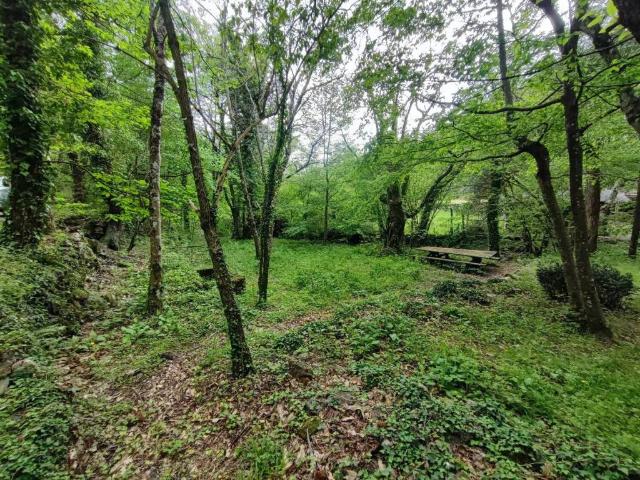 Terreno in vendita a Castiglione Chiavarese, Liguria