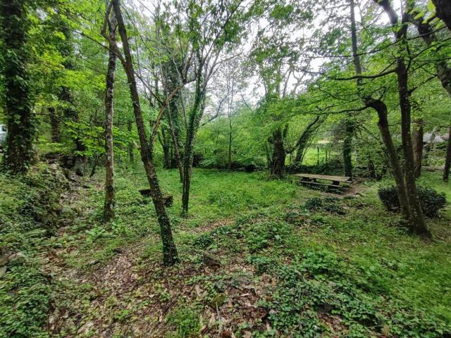 Terreno in vendita a Castiglione Chiavarese, Liguria