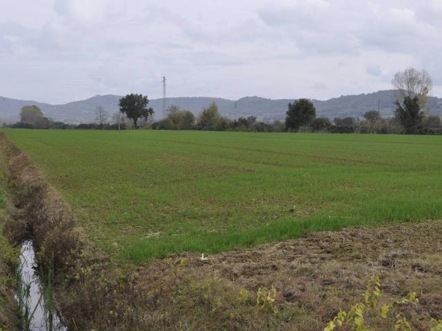 Terreno in vendita a Macchie, Gioiella