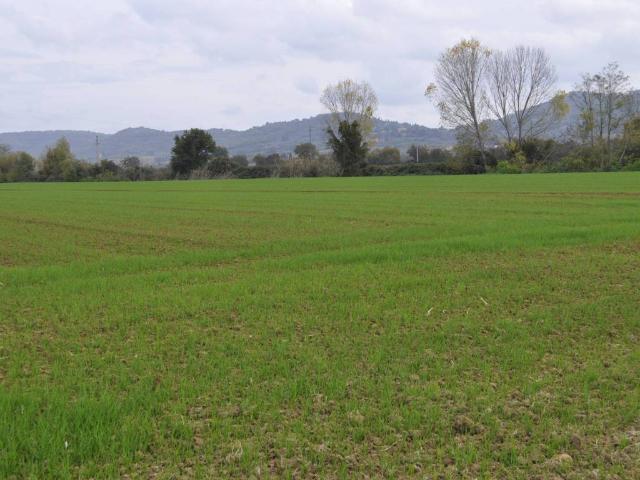 Terreno in vendita a Macchie, Gioiella