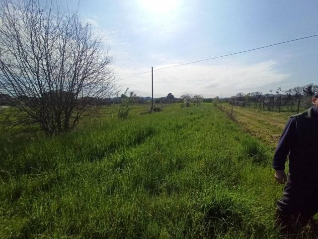 Terreno in vendita a Gioiella, Umbria