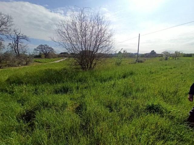 Terreno in vendita a Gioiella, Umbria
