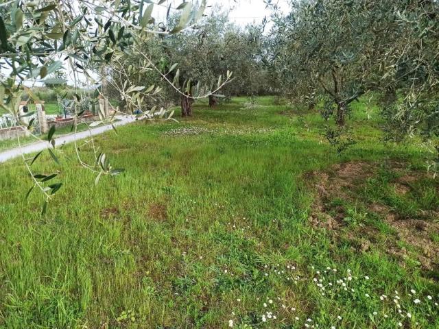 Terreno in vendita a Gioiella, Umbria