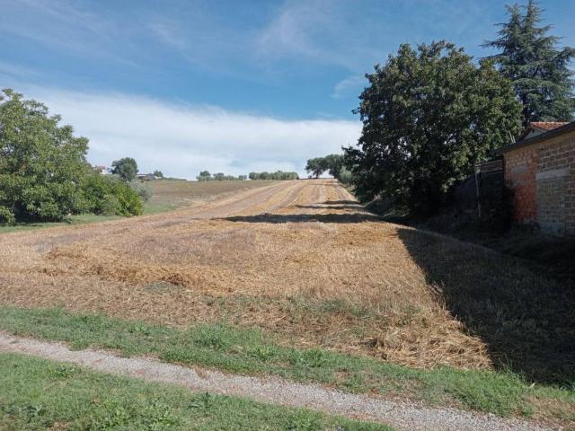 Terreno in vendita a Macchie, Gioiella