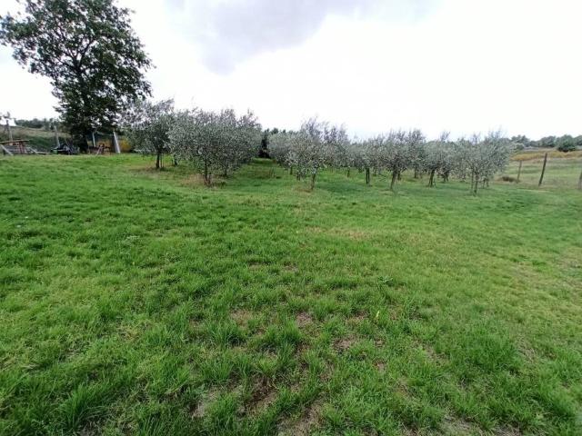 Terreno in vendita a Gioiella, Umbria
