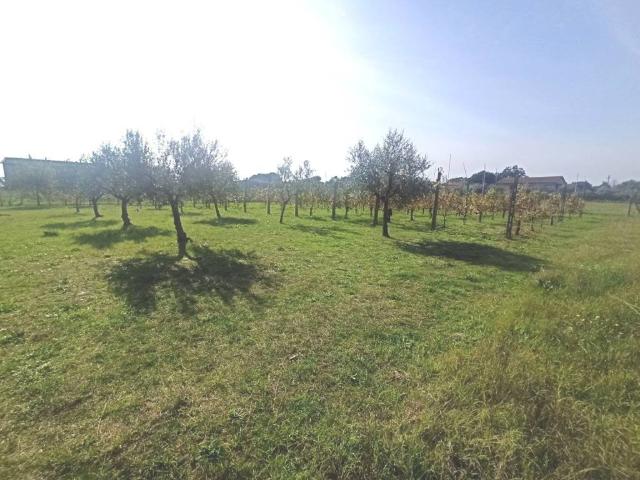 Terreno in vendita a Gioiella, Umbria