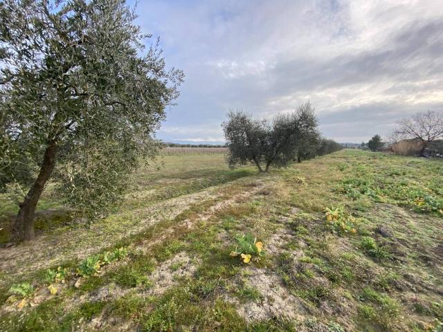 Terreno in vendita a Gioiella, Umbria