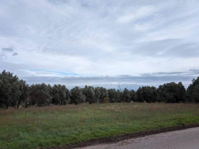 Terreno in vendita a Gioiella, Umbria