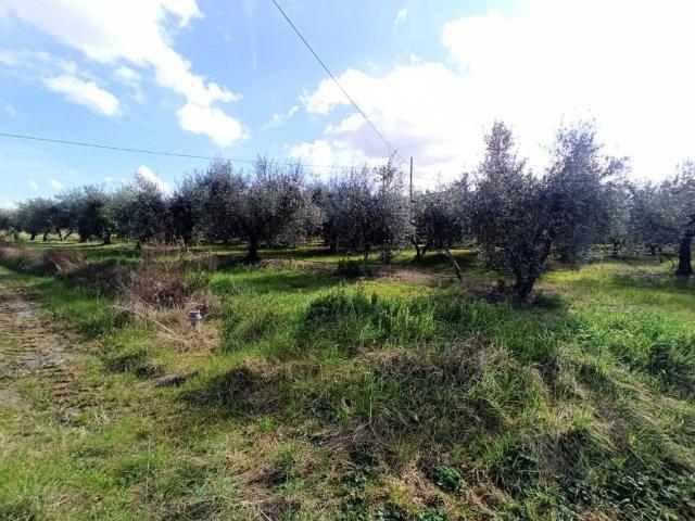 Terreno in vendita a Gioiella, Umbria
