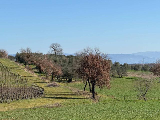 Terreno in vendita a Petrignano, Gioiella
