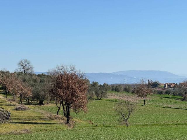 Terreno in vendita a Petrignano, Gioiella