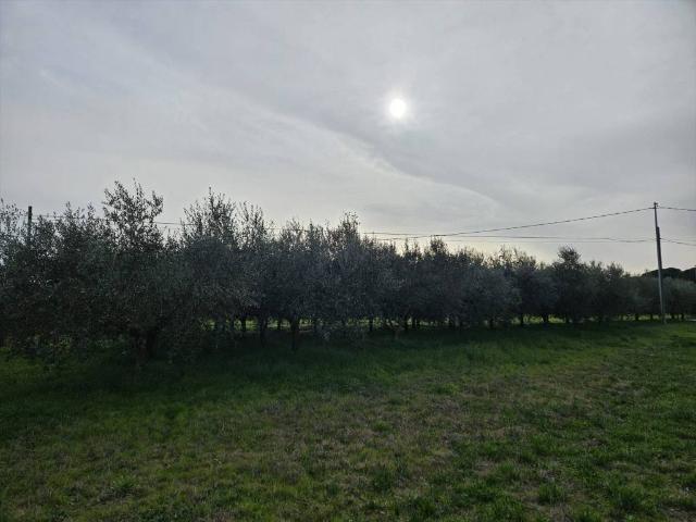 Terreno in vendita a Carraia, Gioiella