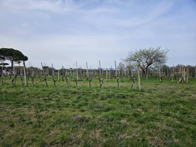 Terreno in vendita a Carraia, Gioiella