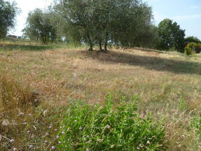 Terreno in vendita a Vaiano, Gioiella