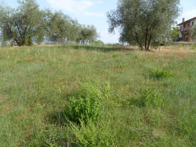 Terreno in vendita a Vaiano, Gioiella