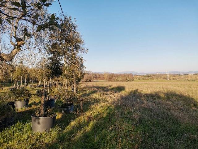 Terreno in vendita a Pozzuolo, Castiglione del Lago