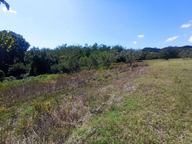 Terreno in vendita a Gioiella