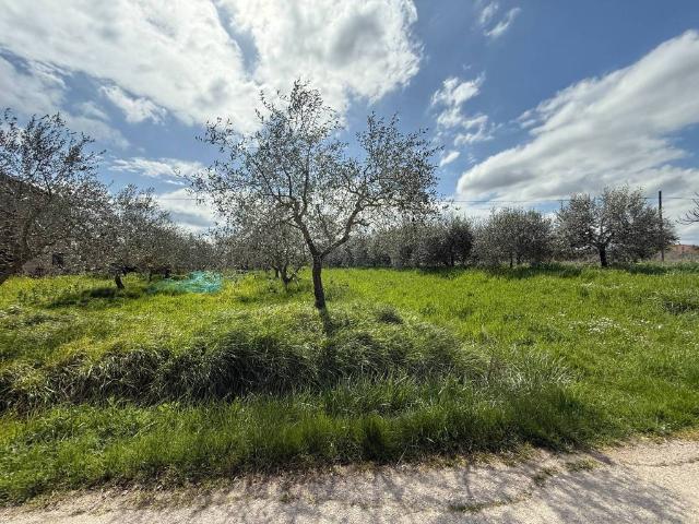 Terreno in vendita a Gioiella, Umbria