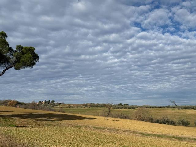 Terreno in vendita a Gioiella, Umbria