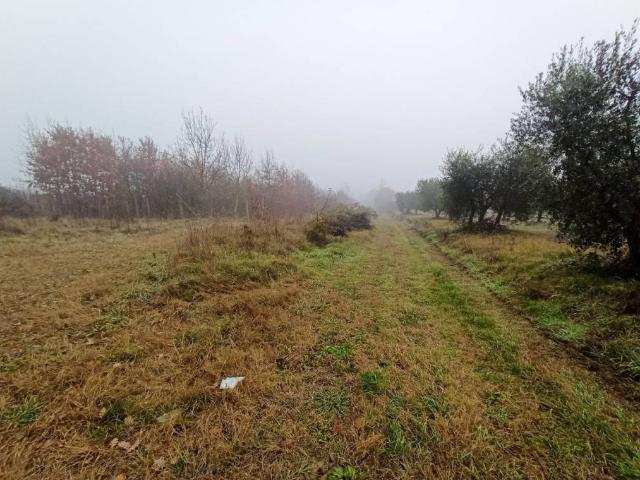 Terreno in vendita a Gioiella, Umbria