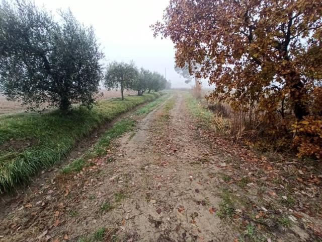 Terreno in vendita a Gioiella, Umbria