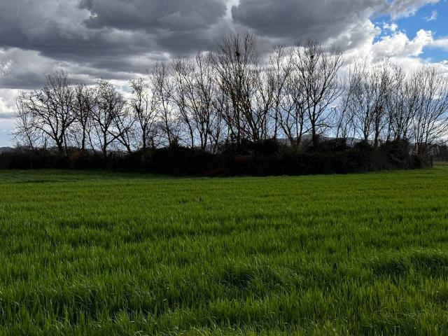Terreno in vendita a Gioiella, Umbria