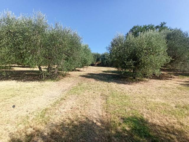 Terreno in vendita a Gioiella, Umbria