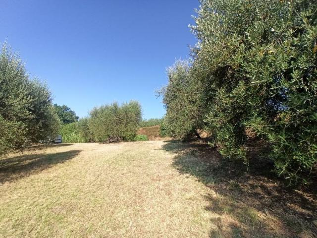 Terreno in vendita a Gioiella, Umbria