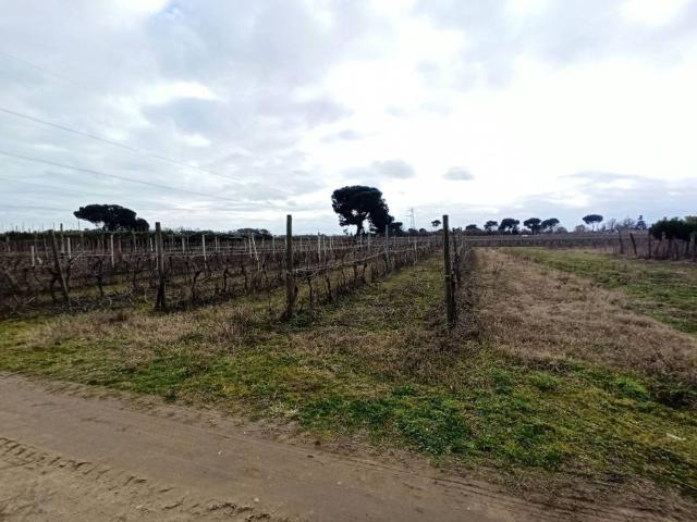 Terreno in vendita a Piana, Gioiella