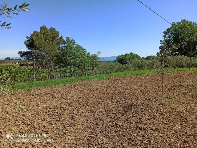 Terreno in vendita a Gioiella, Umbria