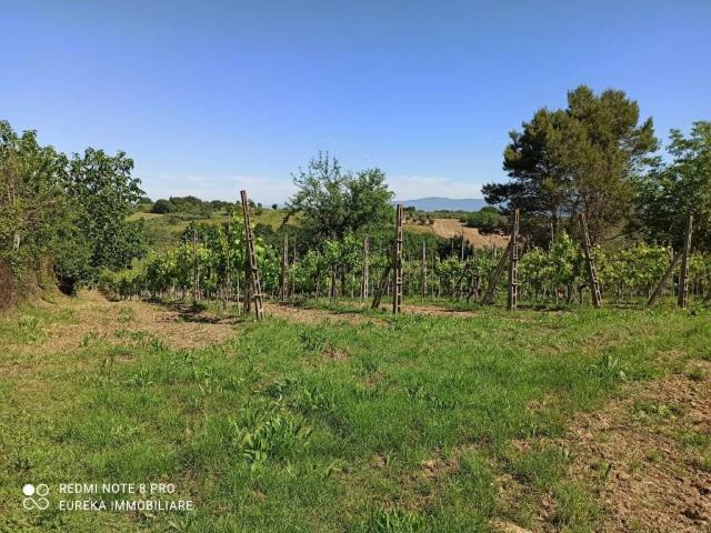 Terreno in vendita a Gioiella, Umbria