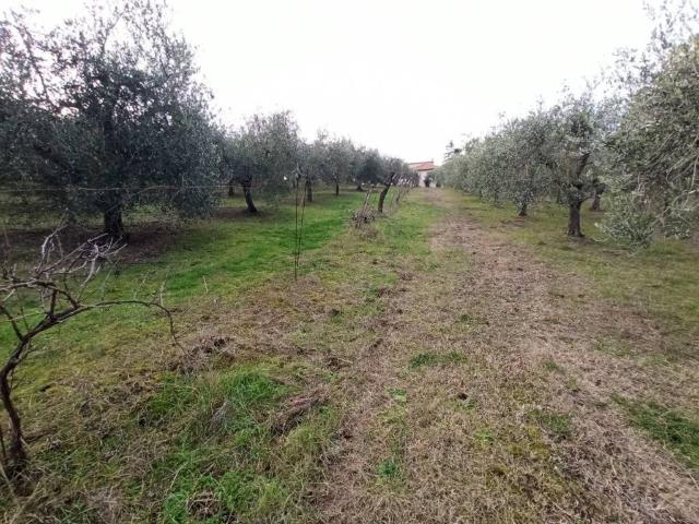 Terreno in vendita a Vaiano, Gioiella