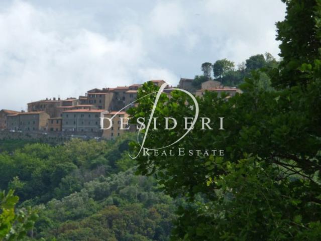 Terreno in vendita a Castiglione Della Pescaia, Toscana