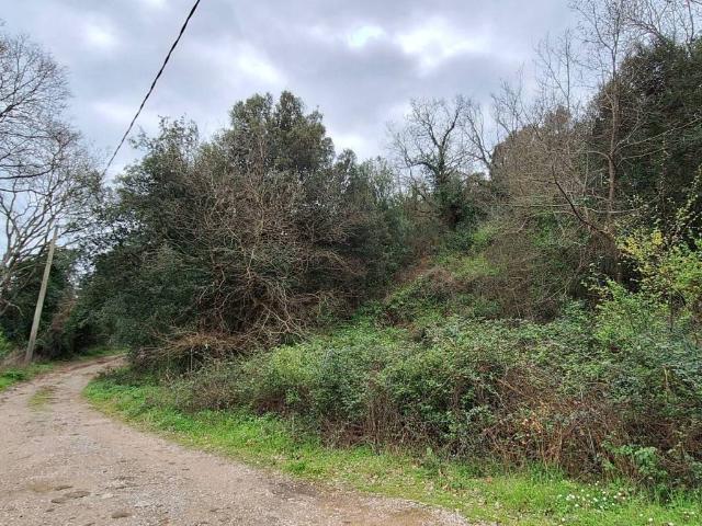 Terreno in vendita a Scala Santa, Castiglione Della Pescaia