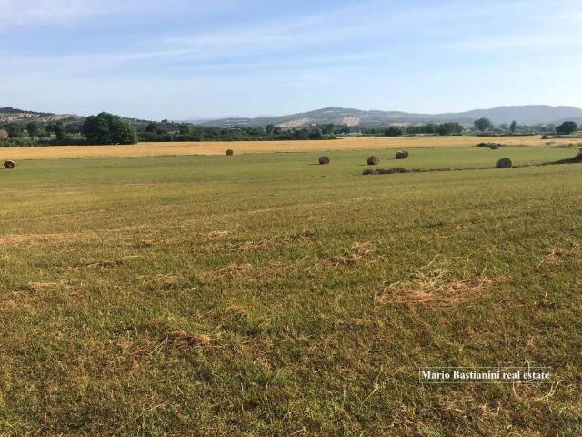 Terreno in vendita a Castiglione Della Pescaia, Toscana