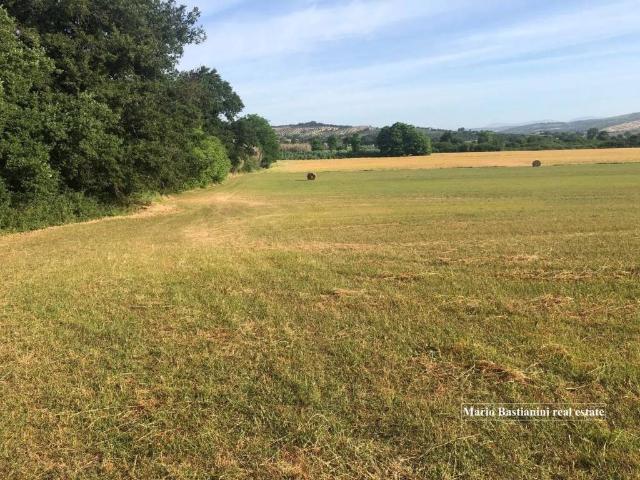 Terreno in vendita a Castiglione Della Pescaia, Toscana