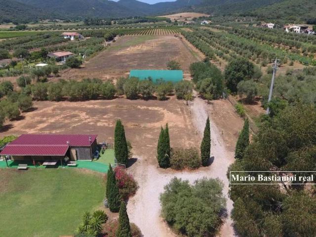 Terreno in vendita a Castiglione Della Pescaia, Toscana