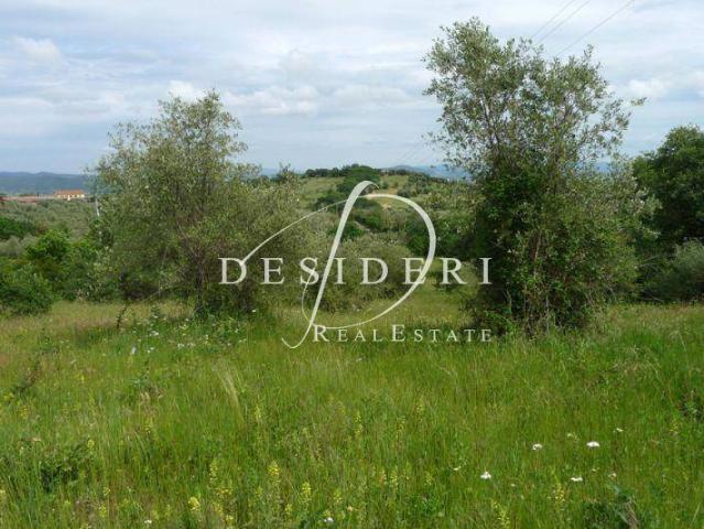 Terreno in vendita a Castiglione Della Pescaia, Toscana