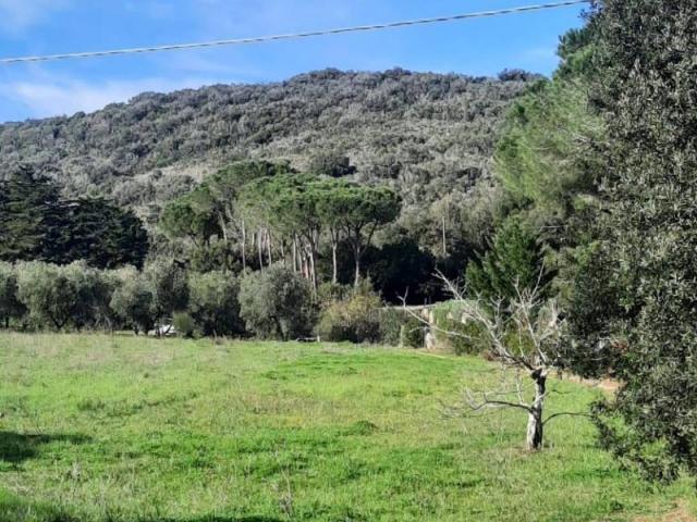 Terreno in vendita a Portaccia, Castiglione Della Pescaia